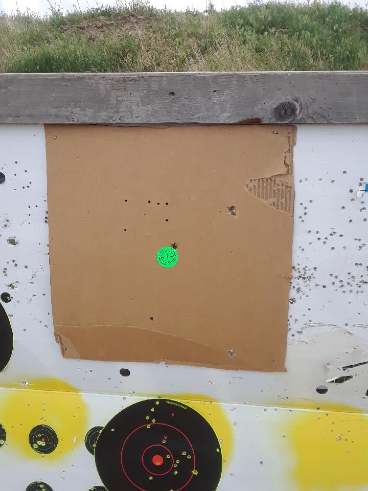 The 100 yd target on the Action Range, with large caliber bullet holes.